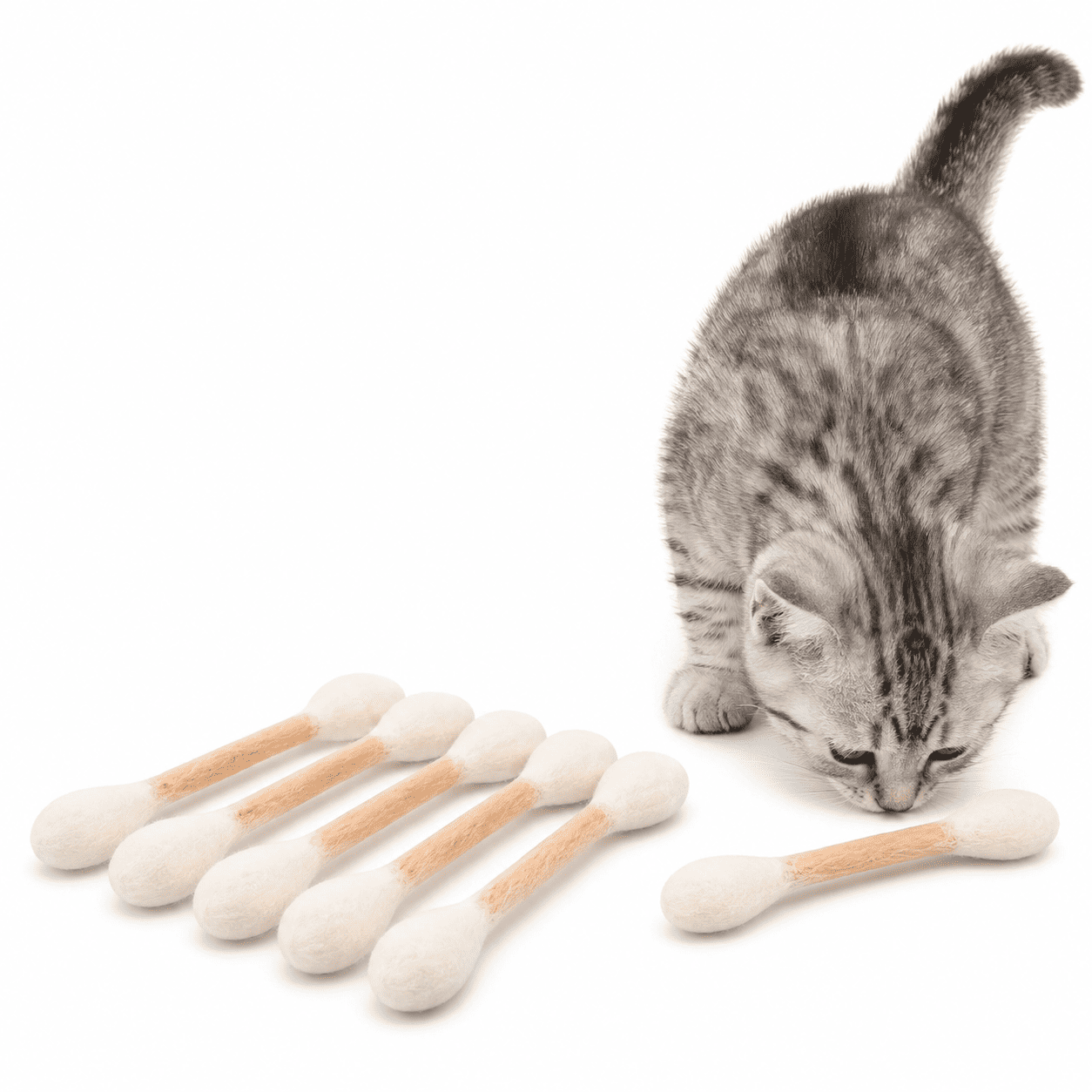 6 Pack🔥Giant Cotton Swabs Your Cat Will Obsess Over!
